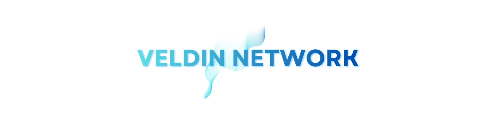 Veldin Network